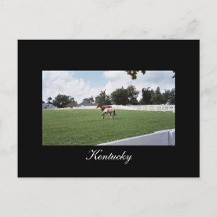 Cartão postal do Kentucky