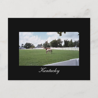 Cartão postal do Kentucky