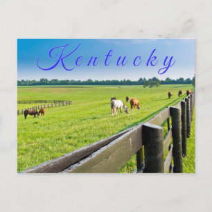 Cartão postal do Kentucky. Cavalos na fazenda.