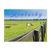 Cartão postal do Kentucky. Cavalos na fazenda de c