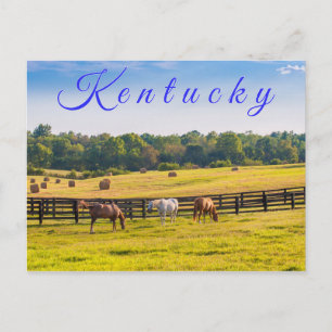 Cartão postal do Kentucky. Cavalos na fazenda de c