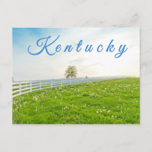 Cartão postal do Kentucky. Paisagem rural em prim