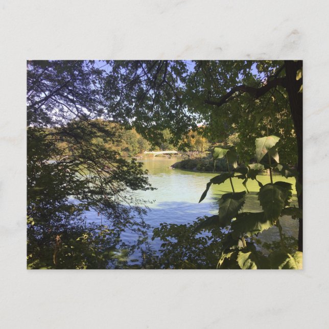 Cartão postal do Lago Central Nova Iorque NYC (Frente)