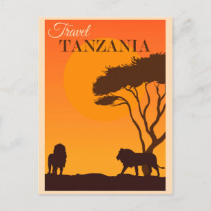 Cartão postal do Leão da África da Tanzânia