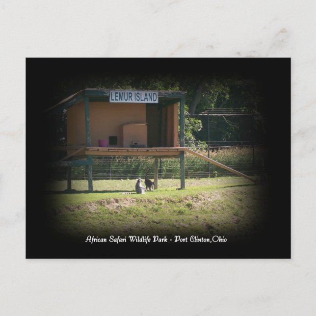 Cartão Postal do Lêmure do Parque de Vida Selvagem (Frente)