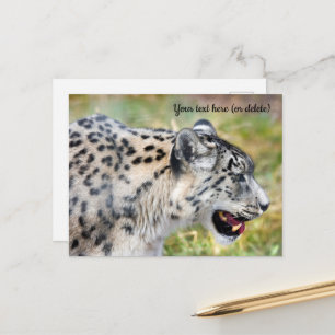 Cartão Postal do Leopardo da Neve