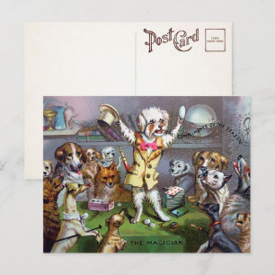 Cartão postal do mágico canino vitoriano