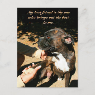 Cartão postal do melhor amigo boxer