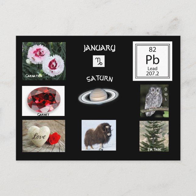 Cartão postal do mês de nascimento de Janeiro Capr (Frente)