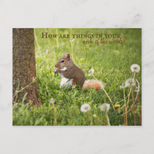 Cartão Postal Do Meu Pescoço da Floresta ao Seu Cartão-Postal