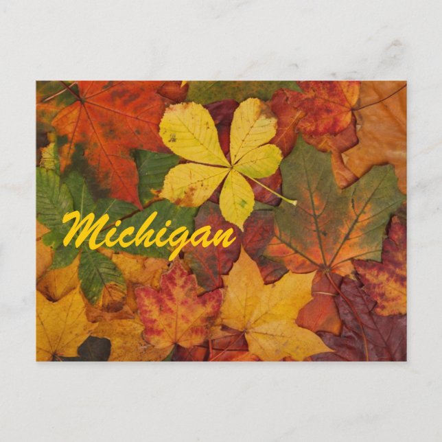 Cartão postal do outono de Michigan (Frente)