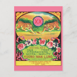 Cartão postal do Pacote Firecracker Vintage