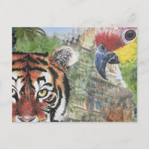 Cartão postal do papagaio e tigre
