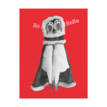 Cartão postal do Papai Noel de frango de borracha