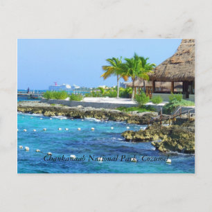 Cartão postal do Parque Chankanaab do Cozumel Mex