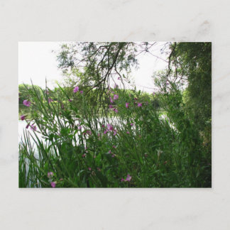 Cartão postal do Parque Estadual de Watermead