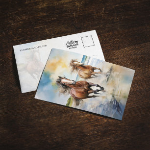 Cartão postal do Parque Nacional das Ilhas Cumberl