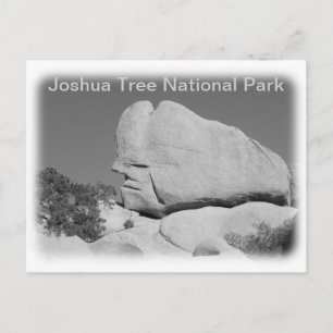 Cartão postal do Parque Nacional Joshua Tree!