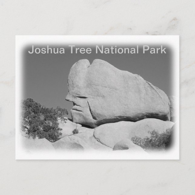 Cartão postal do Parque Nacional Joshua Tree! (Frente)