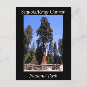 Cartão postal do Parque Nacional Sequoia Kings Ca
