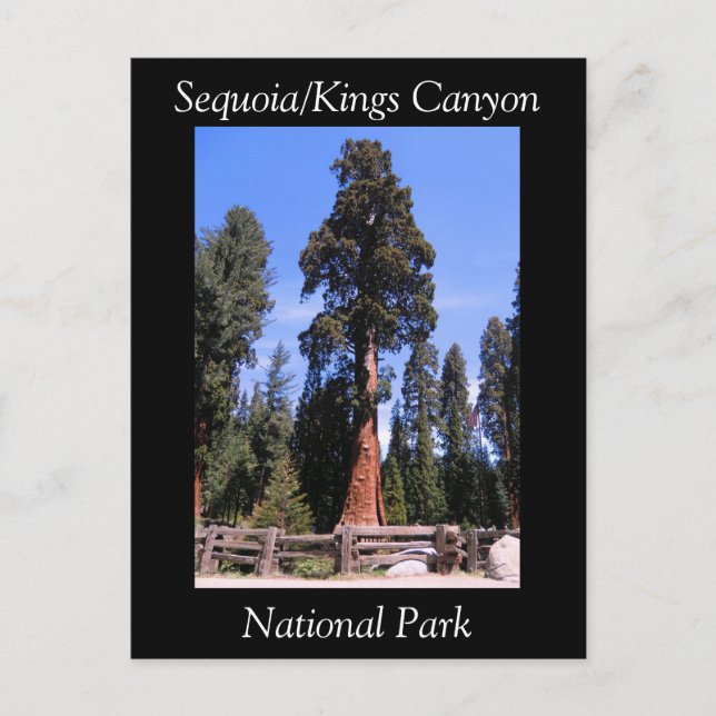 Cartão postal do Parque Nacional Sequoia Kings Can (Frente)