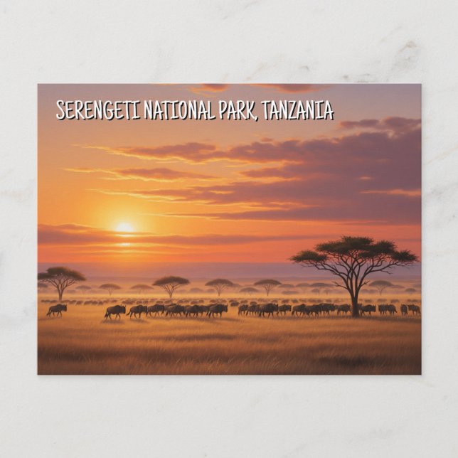 Cartão postal do Parque Nacional Serengeti Tanzâni (Frente)