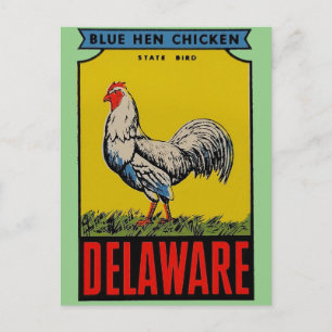 Cartão postal do pássaro do estado de Delaware