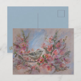 Cartão Postal do Pássaro Estrelinha