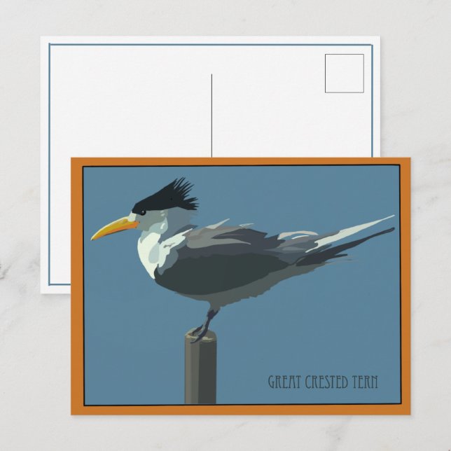 Cartão postal do pássaro - Trinta-réis-de-cristas (Frente/Verso)