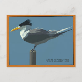 Cartão postal do pássaro - Trinta-réis-de-cristas