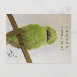 Cartão postal do pássaro verde "Segurando firme...