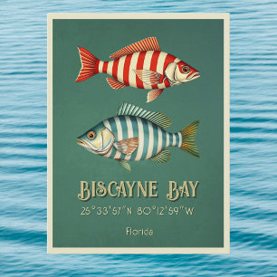 Cartão postal do peixe da Baía de Biscayne Florida