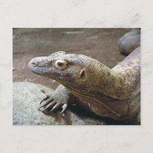 Cartão postal do perfil Komodo