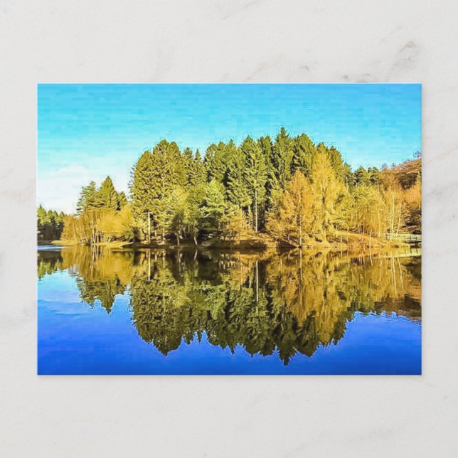 Cartão postal do Pike Lake Mallards (Frente)