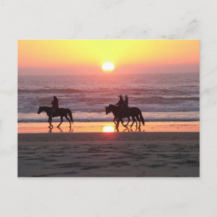 Cartão Postal do Pôr do Sol com Cavalo