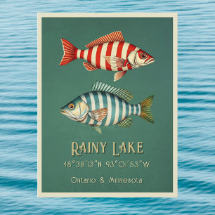 Cartão postal do Rainy Lake Ontario Minnesota peix