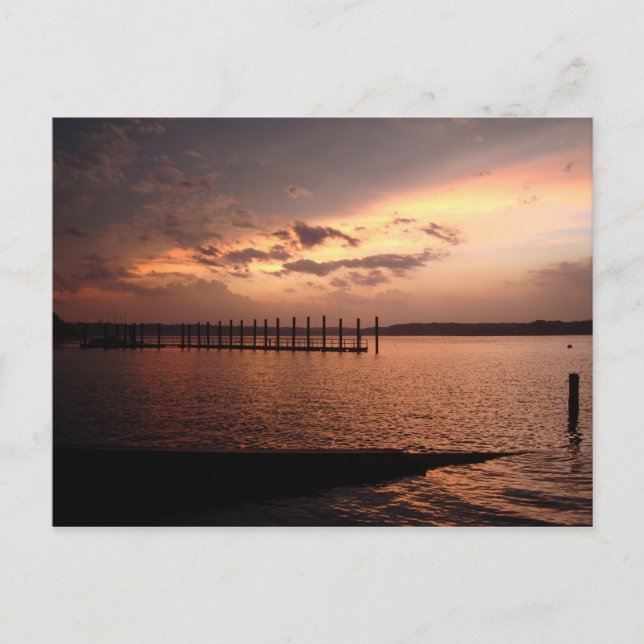 Cartão postal do rio Shark Belmar Sunset (Frente)