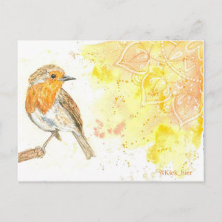 cartão postal do robin