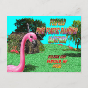cartão postal do santuário de flamingos cor-de-ros