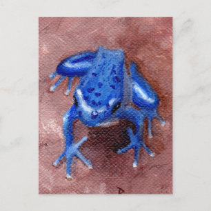 Cartão Postal do Sapo Azul