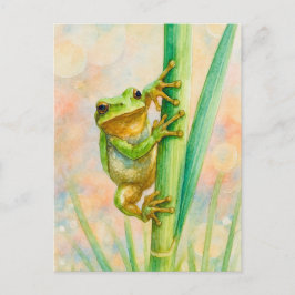 Cartão Postal do Sapo da Primavera em Aquarela Pos