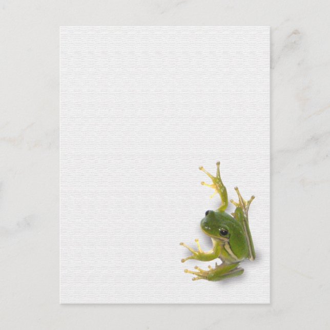 Cartão postal do sapo "príncipe" (Frente)