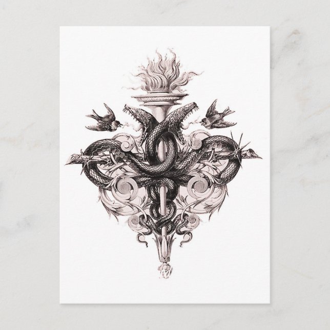 Cartão postal do Símbolo do Equilíbrio (Frente)