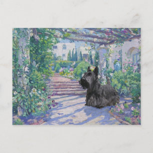 Cartão Postal do Terrier Escocês