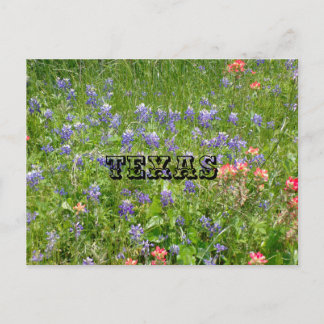 Cartão Postal do TEXAS