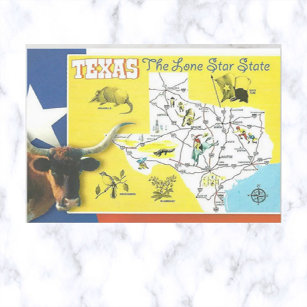 Cartão postal do Texas Vintage Lone Star
