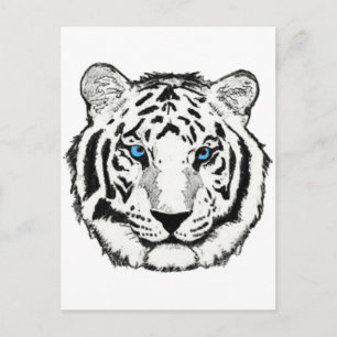 Cartão postal do tigre branco