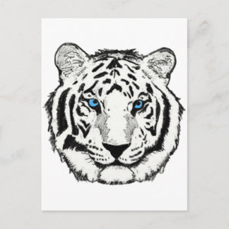 Cartão postal do tigre branco