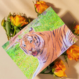 Cartão Postal do Tigre Siberiano Digital Pintado