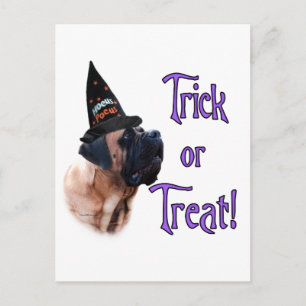 Cartão Postal do Truque do Mastim Albaricoque